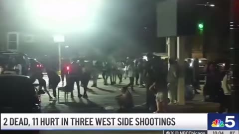 America's War-Zone Chicago Shooting Adds 2 Niggers To The DNC
