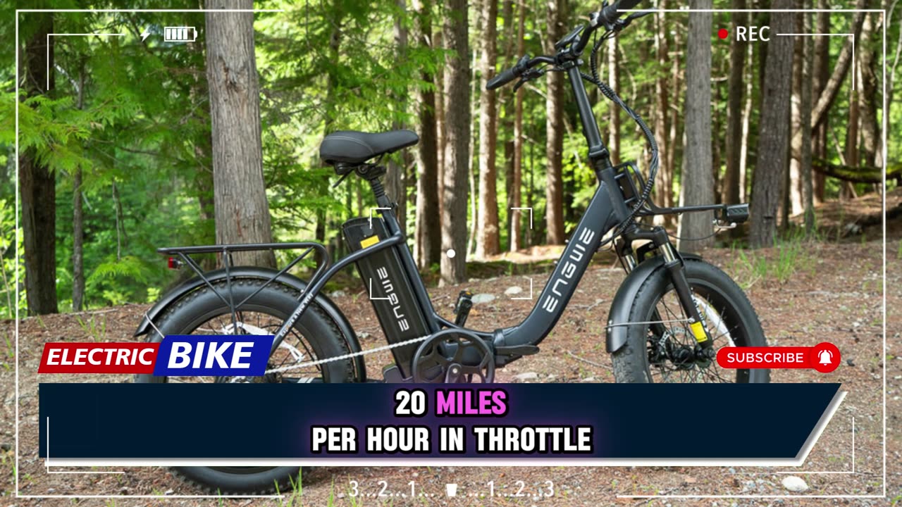 ENGWE L20 Electric Bike 750W motor 48V 13ah lithium battery adult Electric Bike 20 inch Fat Tire