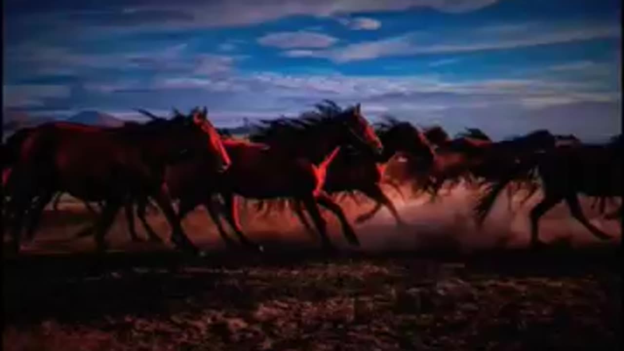 Nissan gtr vs horses