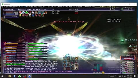 Playing Final Fantasy XI Online