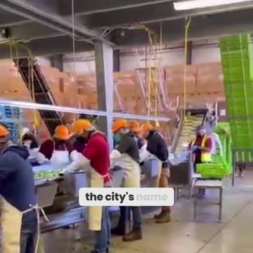 The Most Hated Vegetable: The Surprising Story Behind It