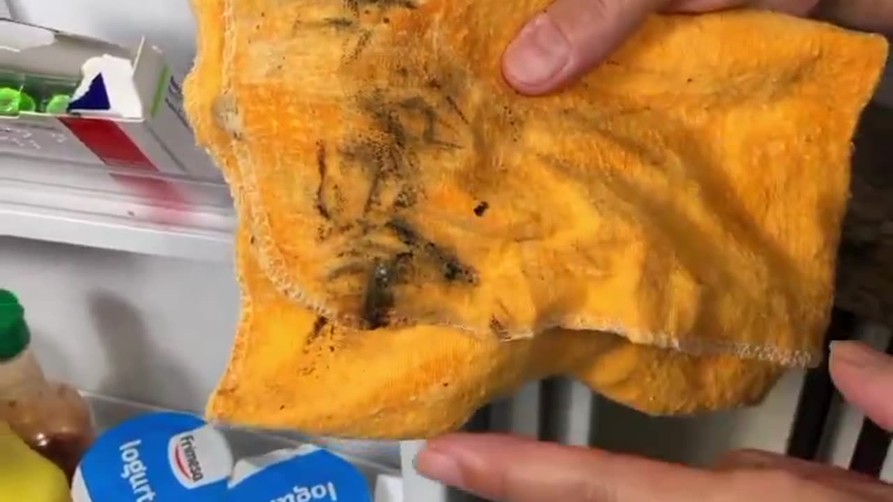 Tricks that refrigerator technicians don't want you to know! ✨