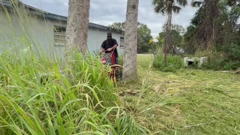 Property Cleanup Uncovers Huge Hazard Posing Risk to the Community P2