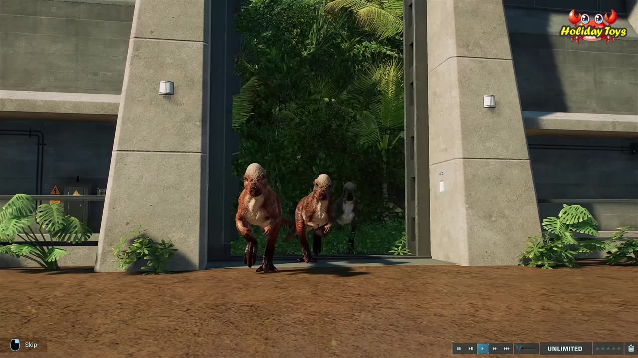 Feeding Penguins After They Swim Far from Other Side of Ocean