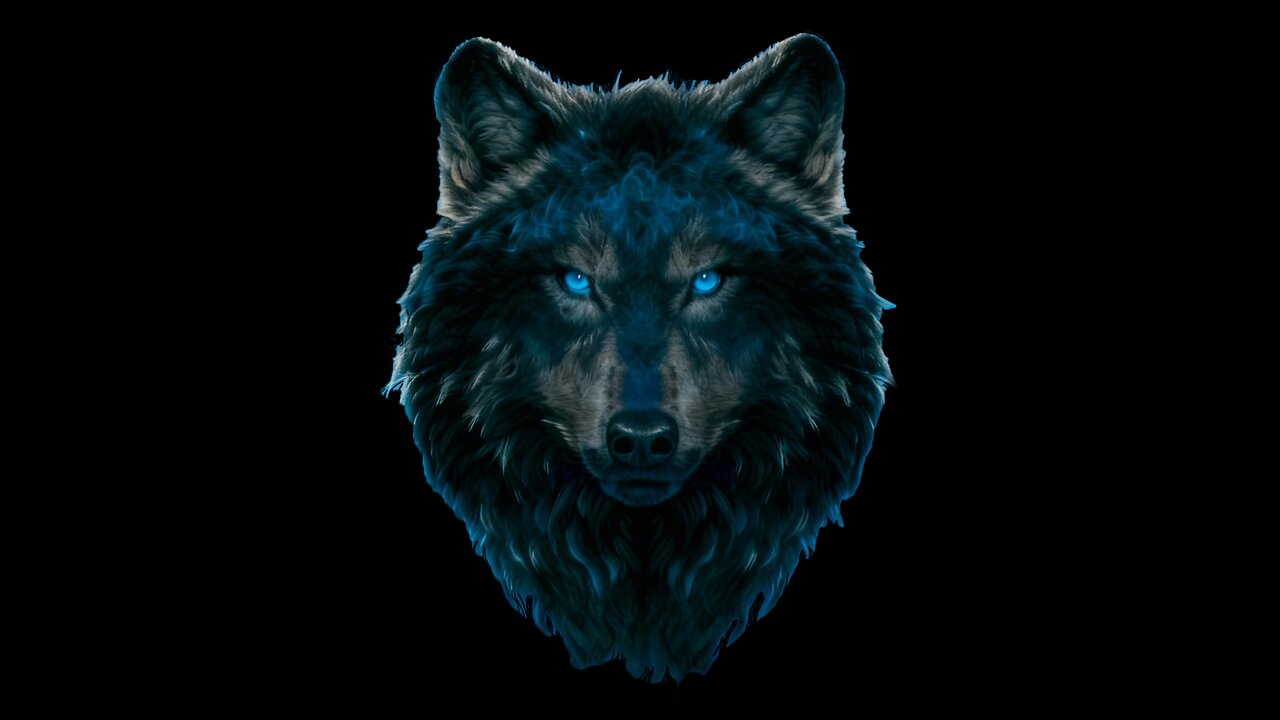 Wolves & Wisemen