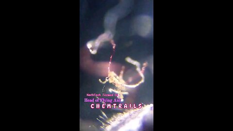 Environmental Microscopy Samples. We are under🌫️✈️anATTACK MICROSCOPICALLY