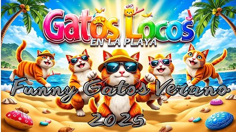 Funny Gatos Verano 2025 COMPLETO