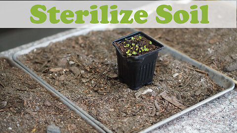 How to Sterilize Potting Soil (Mittleider Gardening)