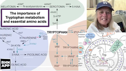 The importance of Tryptophan metabolism and essential amino acids