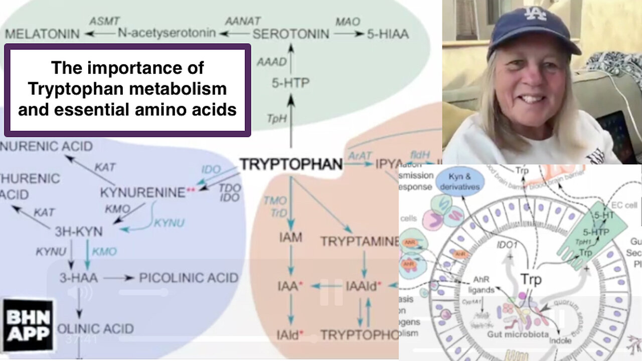 The importance of Tryptophan metabolism and essential amino acids