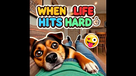 "When life Hits hard😂Funny dogs moment 🐕