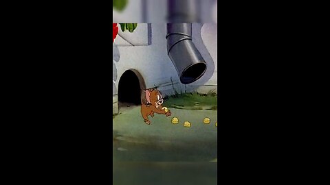 tom and Jerry