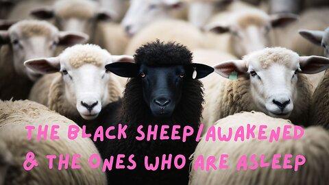 The Black Sheep/Awakened & the Ones Who Are Asleep ∞St. Germain, Channeled by Daniel Scranton