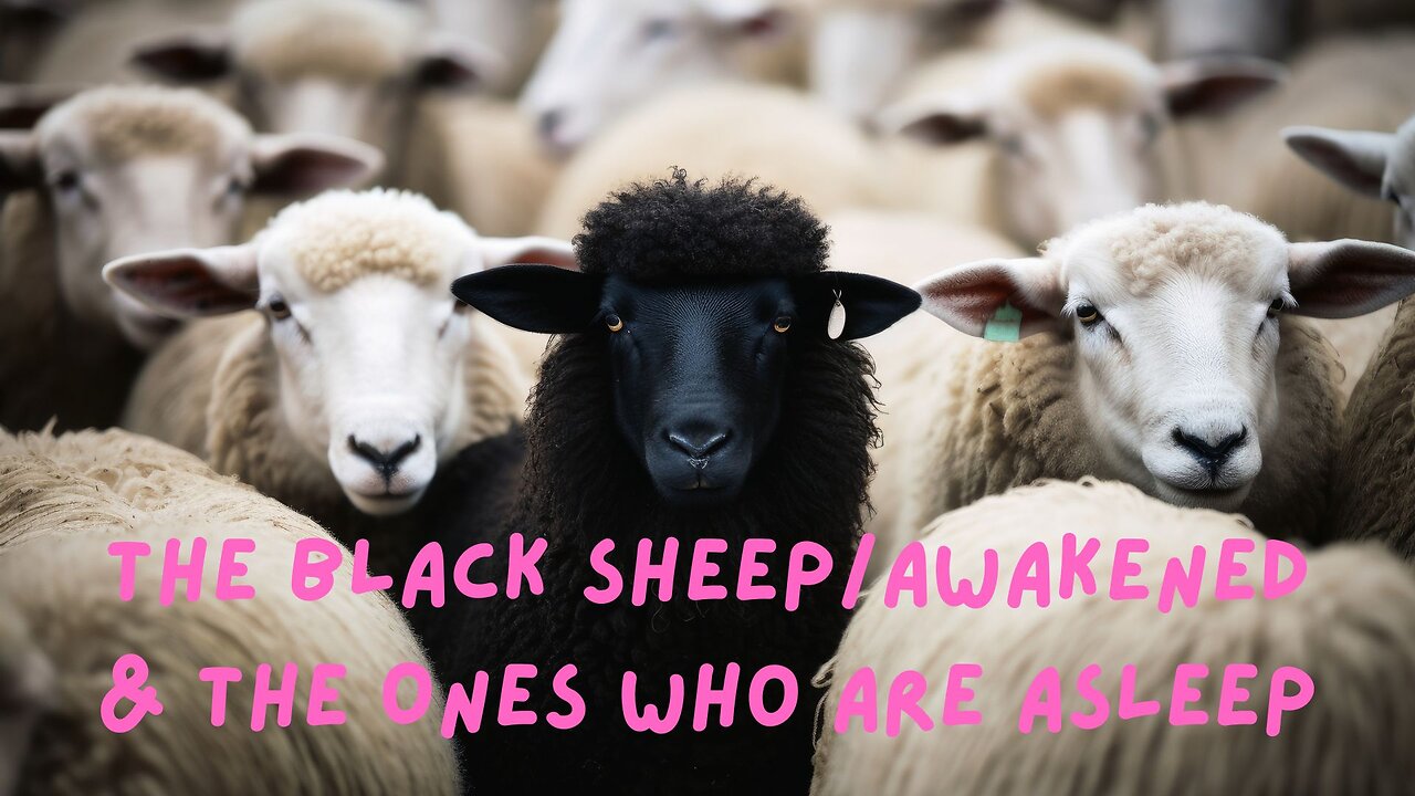 The Black Sheep/Awakened & the Ones Who Are Asleep ∞St. Germain, Channeled by Daniel Scranton