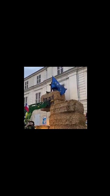 WHOA! French farmers really angry! Take down EU flag & replace w/ political mannequin
