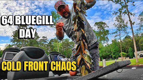 "Cold Front CHAOS on Toledo Bend – 64 Bluegill in Wild Conditions!"