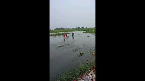 satisfying Video