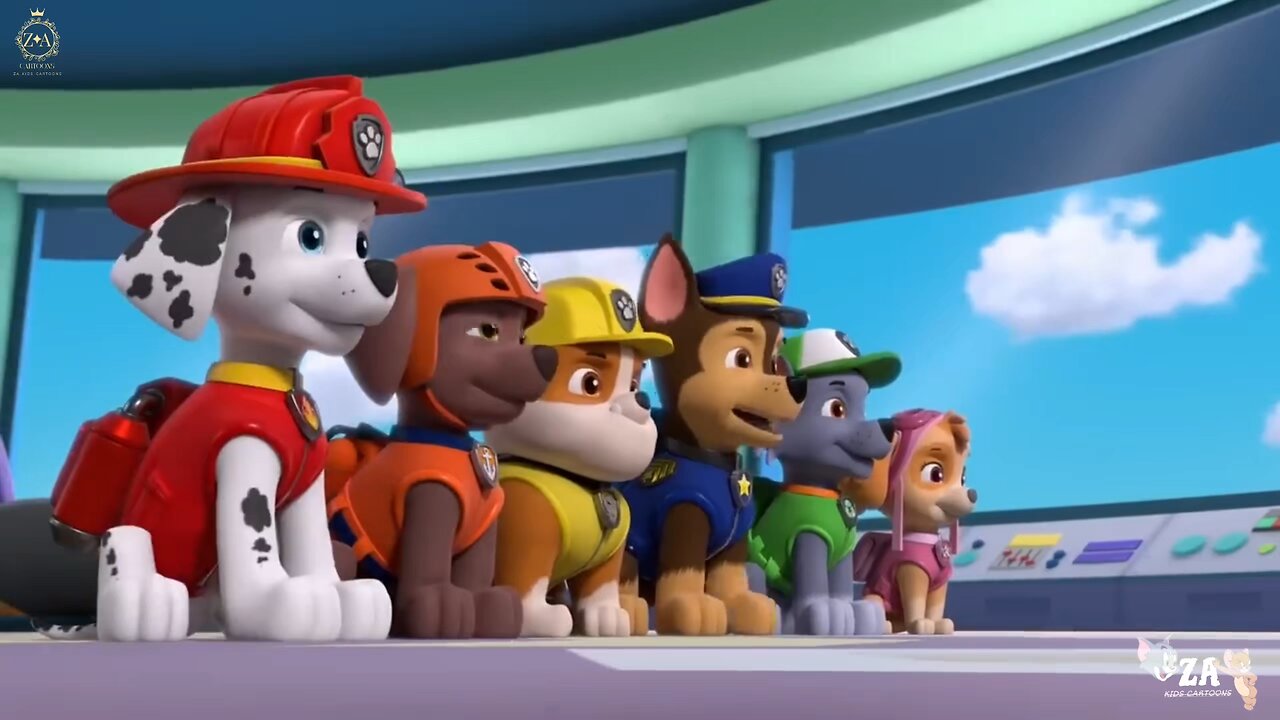 PAW Patrol Cartoons