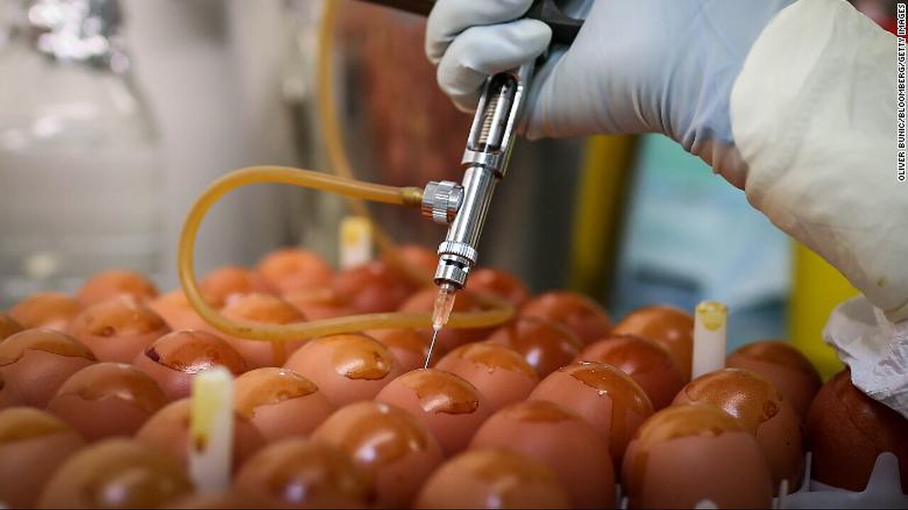 Vaccine and Food Compromise Crock of CRAP EXPOSED!