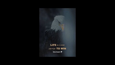 Win the game🕊
