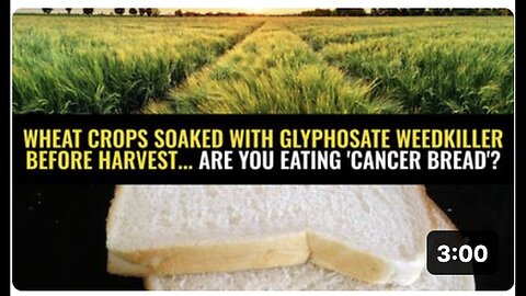 "Glyphosate-Soaked Wheat: Are You Consuming 'Cancer Bread'?"