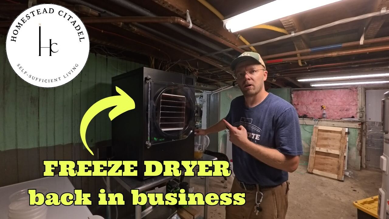 🔥 Fire, Cows, & Chicks: A Hectic Week on the Homestead!