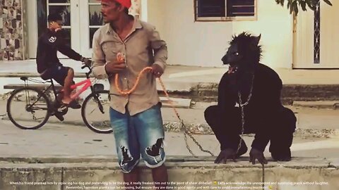 Funny Videos Compilation Can Not Control Laugh. 🤣