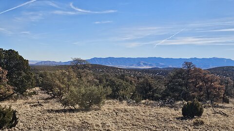 Living on Earth: land stewardship, a mutually beneficial exchange