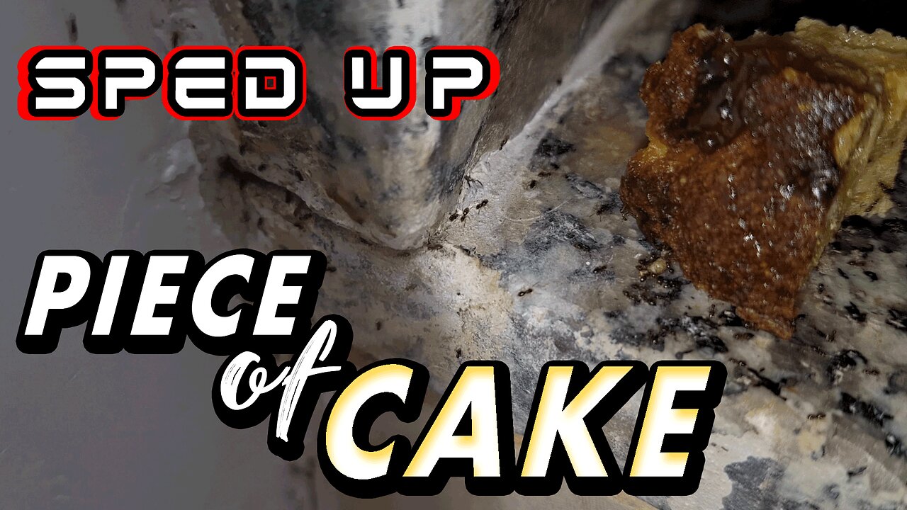 ASMR | You forgot some food on the way? Chill. The soldiers have it covered - Sped up