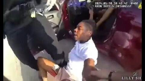BLACK WOMAN TRASHES MCDONALD’S, RESISTS ARREST — STILL CLAIMS SHE S THE VICTIM! 🤦🏻‍♀️