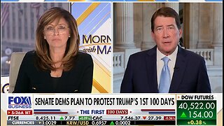 Democrats are protesting Trump's first 100 days because it's been 'impactful': GOP senator