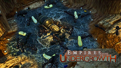 Dominating The Tree! Empires Of The Undergrowth Part2