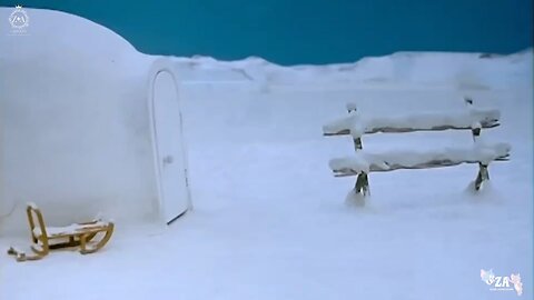 Pingu Cartoons