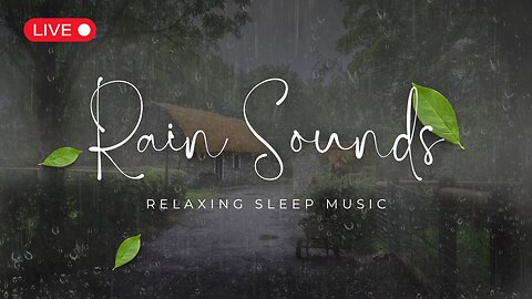 Gentle Rain Sounds for Deep Sleep & Relaxation | Soothing Rain Ambience