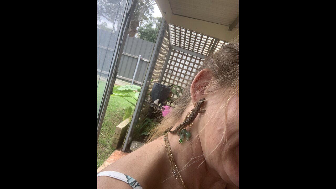 Gecko
