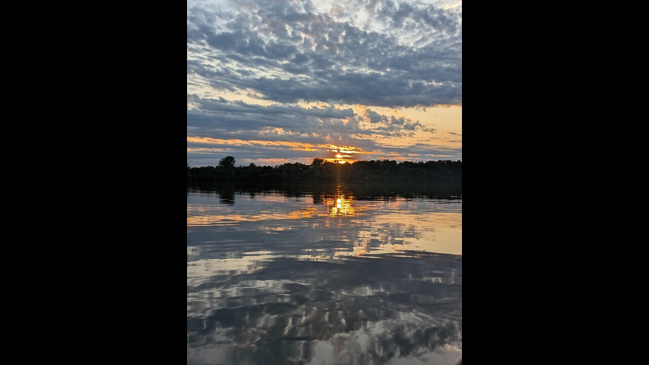 Summer nights