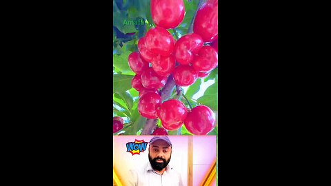 Amazing fruit 🤤🍑