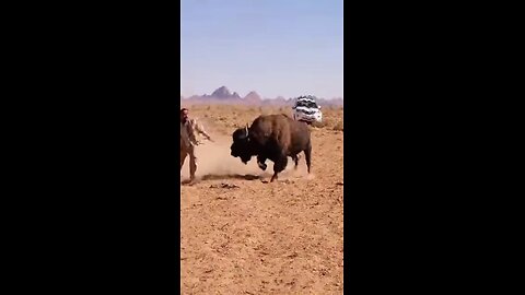 Only the Brave: African Forest Man vs Deadly Animals 😬🌳 #ManVsWild #SurvivalChallenge