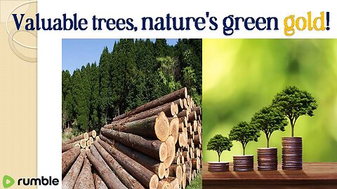 Valuable trees, green gold gold!