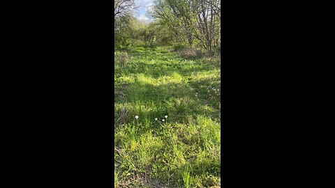 Peaceful walk