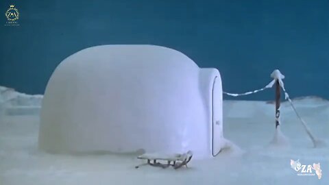 Pingu Cartoons