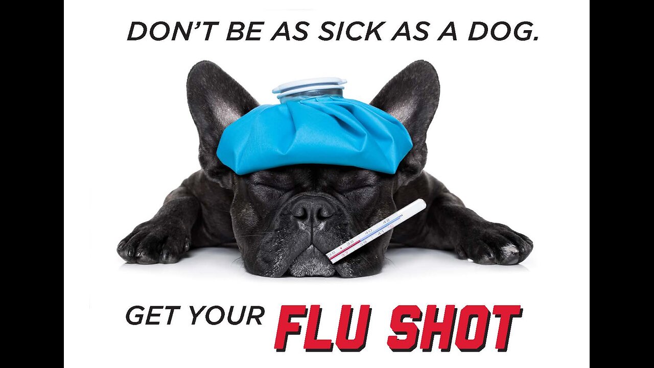 WOO time Tonight 001 - Flu statistics
