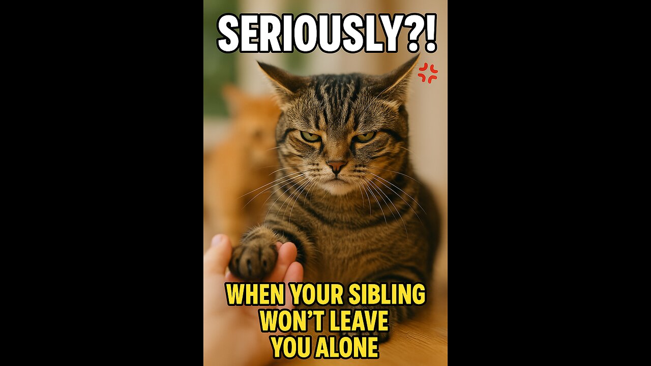 "When Your Best Friend Annoys You!