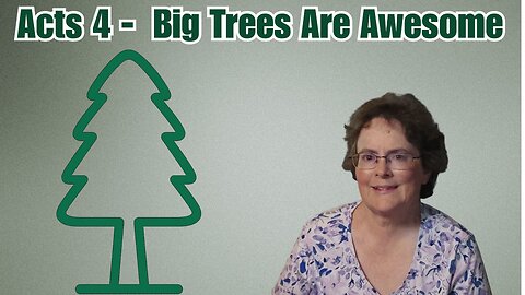Big Trees are wonderful