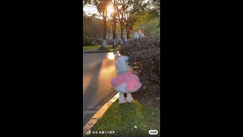 cute baby girl walking on the road