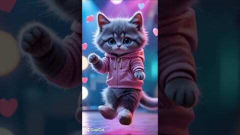 CUTE KITTEN CAT DANCE