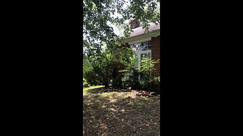 7130 Lanark Ct