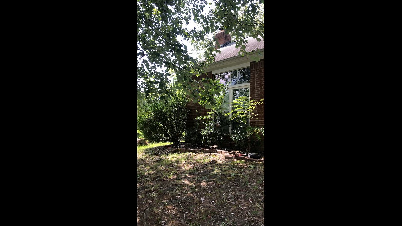 7130 Lanark Ct