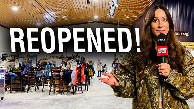 They're back: City Hall tried to shut them down... thumbnail