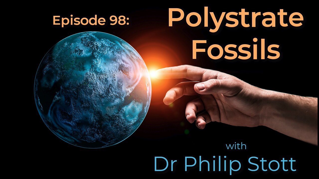 98 Polstrate Fossils